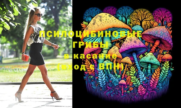 дживик Верея