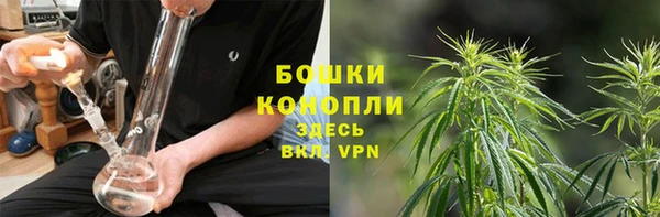 дживик Верея